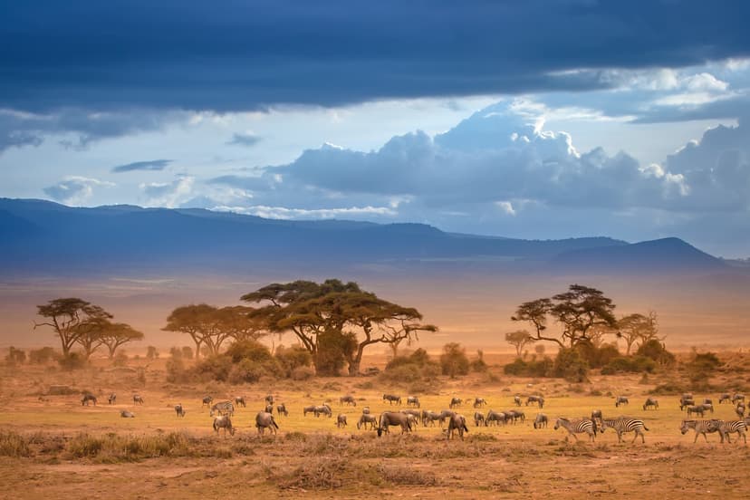 AFRISOS