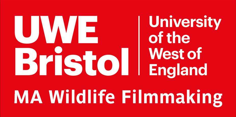 Logo of https://courses.uwe.ac.uk/D4P31/wildlife-filmmaking